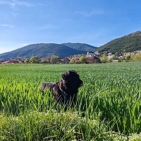 Acebo & Natura